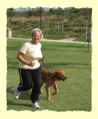 Penny dog exercise